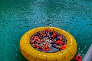 Halong & Lan Ha Bay 1-dagars katamarankryssning från Hanoi