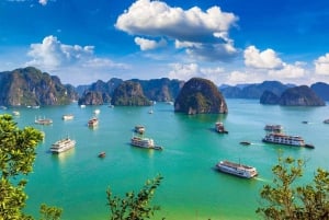 4D3N Ninh Binh Halong Bay in crociera a 5 stelle Arcady