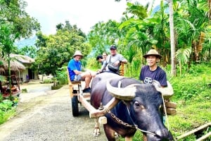 Praktisk Vietnam: Cykling, rafting og landsbyliv