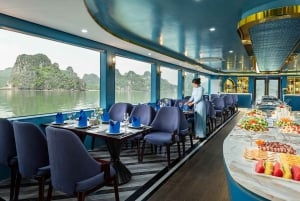 Ninh Binh: Shuttle Limousine Bus Transfer to/from Halong Bay