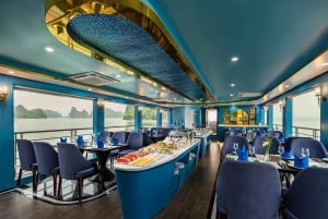 Ninh Binh: Shuttle Limousine Bus Transfer to/from Halong Bay