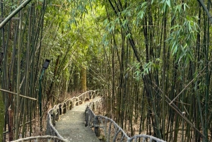 Hanoi: 2-Day Ba Vi National Park & Tam Dao Tour