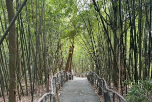 Hanoi: 2-Day Ba Vi National Park & Tam Dao Tour