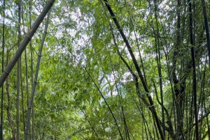 Hanoi: 2-Day Ba Vi National Park & Tam Dao Tour