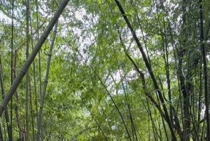 Hanoi: 2-Day Ba Vi National Park & Tam Dao Tour