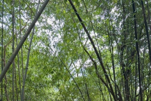 Hanoi: 2-Day Ba Vi National Park & Tam Dao Tour