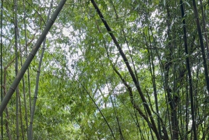 Hanoi: 2-Day Ba Vi National Park & Tam Dao Tour