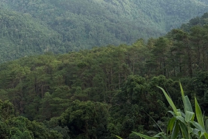 Hanoi: 2-Day Ba Vi National Park & Tam Dao Tour