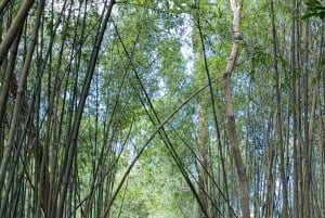 Hanoi: 2 päivän Ba Vin kansallispuisto- ja Tam Daon retki