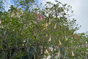 Hanoi: 2 päivän Ba Vin kansallispuisto- ja Tam Daon retki