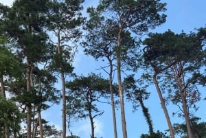 Hanoi: 2 päivän Ba Vin kansallispuisto- ja Tam Daon retki