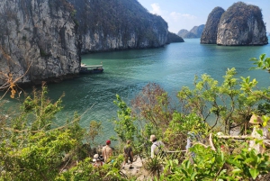 Hanoi: 2-dagers luksuscruise i Bai Tu Long Bay-grotten og kajakkpadling