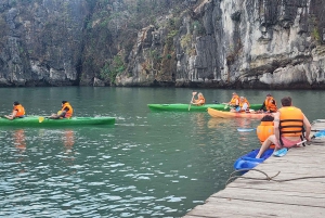 Hanoi: 2-dagers luksuscruise i Bai Tu Long Bay-grotten og kajakkpadling