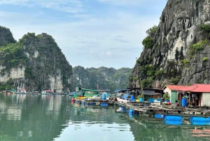 Hanoi: 2-dagers luksuscruise i Bai Tu Long Bay-grotten og kajakkpadling