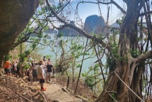 Hanoi: 2-dagars lyxkryssning i Bai Tu Long Bay Cave & kajakpaddling
