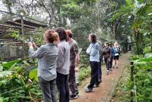 Hanoi: 2-Day Ninh Binh Excursion & Cuc Phuong Park Wildlife