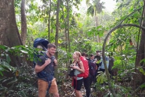 Hanoi: 2-Day Ninh Binh Excursion & Cuc Phuong Park Wildlife