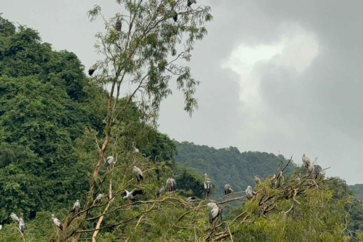 Hanoi: 2-dages tur til Ninh Bình med bådtur og pagoder