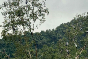 Hanoi: 2-dages tur til Ninh Bình med bådtur og pagoder