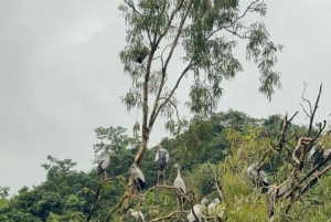 Hanoi: 2-dages tur til Ninh Bình med bådtur og pagoder