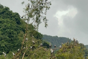 Hanoi: 2-dages tur til Ninh Bình med bådtur og pagoder