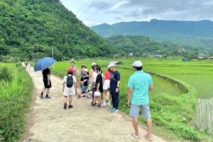 Ханой: 2-дневный тур 'Пу Луонг Классик