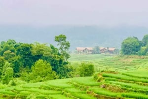 マイチャウ：トレッキング、サイクリング、食事、ホームステイを含む2日間ツアー