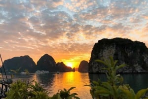 Hanói: excursão de 2 dias a Ninh Binh e Baía de Halong com traslado