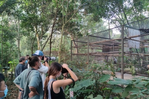 Hanoi: 2-dages vandretur i Cuc Phuong-junglen og udflugt til Ninh Binh