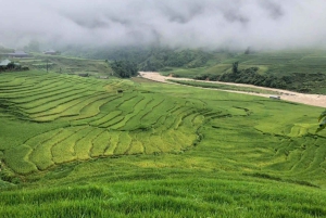 Hanoi: 2 Days Sapa, Hotel 4-stars,Transfer by VIP Limousine