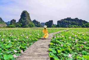 Hanoi: 3-daagse excursie naar Lan Ha Bay en Ninh Binh, kleine groep