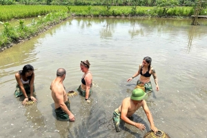 Hanói: Excursão de 3 dias à Baía de Lan Ha, Ninh Binh, em grupo pequeno