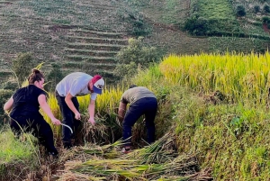 Hanoï : circuit de 3 jours en moto à Mu Cang Chai, randonnée et découverte de la vie locale