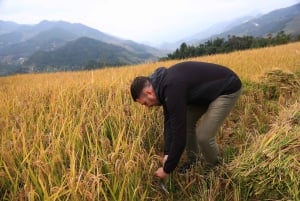 Hanoï : circuit de 3 jours en moto à Mu Cang Chai, randonnée et découverte de la vie locale