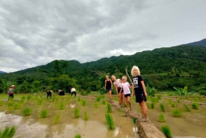 Hanoï : circuit de 3 jours en moto à Mu Cang Chai, randonnée et découverte de la vie locale