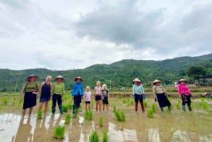 Hanoï : circuit de 3 jours en moto à Mu Cang Chai, randonnée et découverte de la vie locale