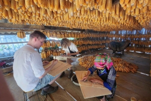 Ханой: 3-дневный тур на мотоцикле по Му Кан Чай, поход, знакомство с местной жизнью