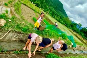Ханой: 3-дневный тур на мотоцикле по Му Кан Чай, поход, знакомство с местной жизнью