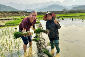 Ханой: 3-дневный тур на мотоцикле по Му Кан Чай, поход, знакомство с местной жизнью