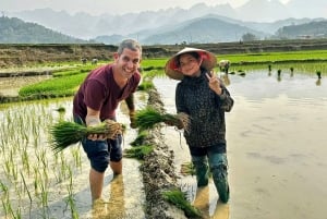 Ханой: 3-дневный поход по Му Канг Чаю, скрытые тропы, местная жизнь