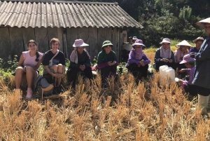 Ханой: 3-дневный поход по Му Канг Чаю, скрытые тропы, местная жизнь