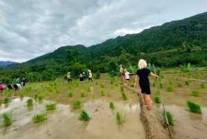 Ханой: 3-дневный поход по Му Канг Чаю, скрытые тропы, местная жизнь