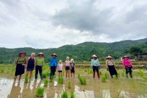 Ханой: 3-дневный поход по Му Канг Чаю, скрытые тропы, местная жизнь