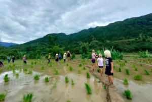 Ханой: 3-дневный поход по Му Канг Чаю, скрытые тропы, местная жизнь