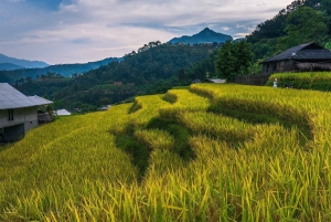 Ханой: 3-дневный поход по Му Канг Чаю, скрытые тропы, местная жизнь