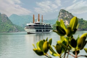 Hanói: Crucero de 5 estrellas de 3 días por Ninh Binh, Ha Long y la bahía de Lan Ha