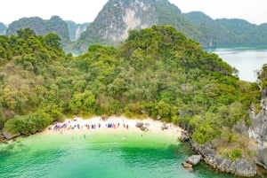 Hanoi: 3-Tage-Kreuzfahrt nach Ninh Binh, Ha Long & Bai Tu Long UNESCO