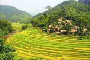 Hanói: excursión de 3 días a Pu Luong y Ninh Binh con guía y alojamiento en casa particular.