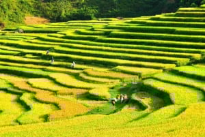 Hanói: excursión de 3 días a Pu Luong y Ninh Binh con guía y alojamiento en casa particular.