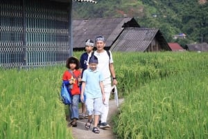 Hanoi: 3-dages Sapa-eventyr – Lao Chai, Cat Cat og Fansipan-bjergtoppen